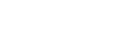 Pistol